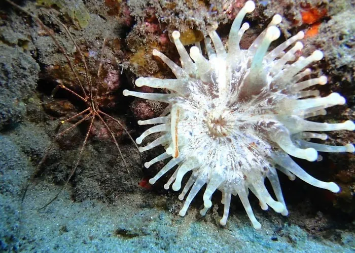 Guimar - El Tablado Casa De La Playa *