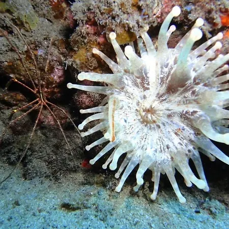 Guimar - El Tablado Casa De La Playa *